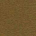 DM02137   TAN