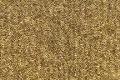 DM07176   TAN